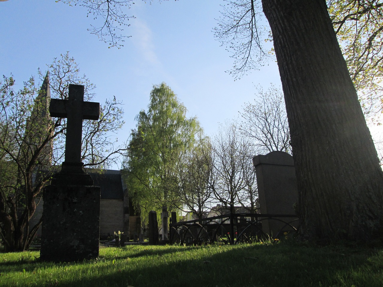 cemetery, sorrow, griftegård-2724275.jpg